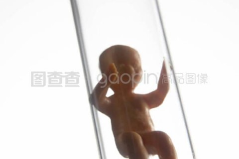 http://shijiazhuang.nbgk120.com/post/209.html|石家庄捐卵费用
