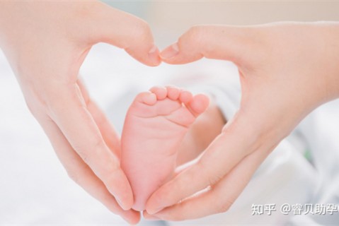 夏天石家庄捐卵宝宝发烧 莫要急