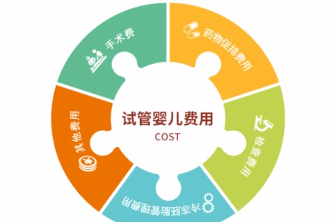 石家庄捐卵宝宝肚痛，父母该怎么办？